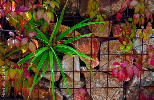 Decorative Wall Landscaping