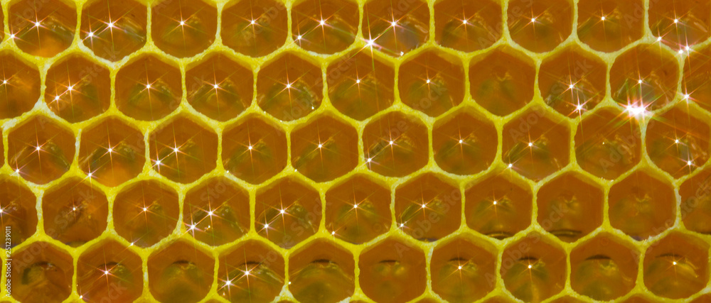 Honeycomb, nectar and light reflected from its surface. Honeycomb, nectar and light reflected from its surface.