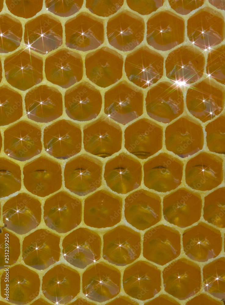 Honeycomb, nectar and light reflected from its surface. Honeycomb, nectar and light reflected from its surface.