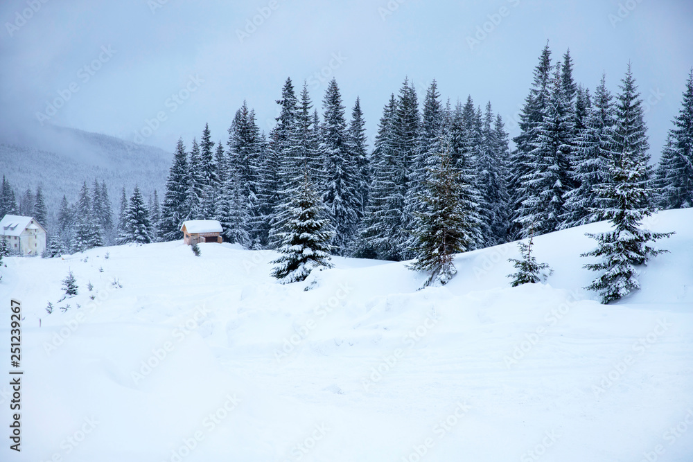 Snowy house in the mountains