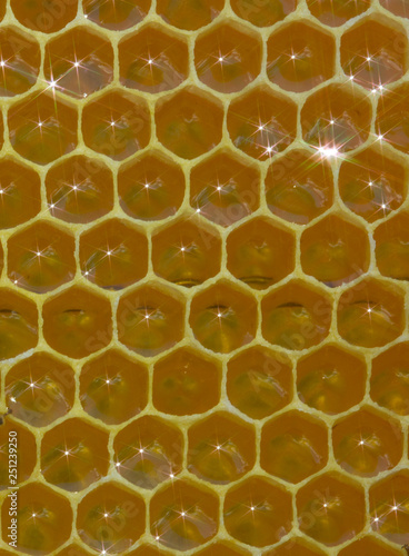Honeycomb, nectar and light reflected from its surface.