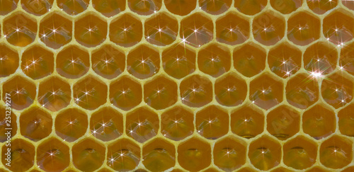 Honeycomb, nectar and light reflected from its surface.