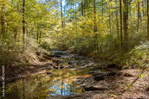 Stream in Mistletoe State Park, Georgia