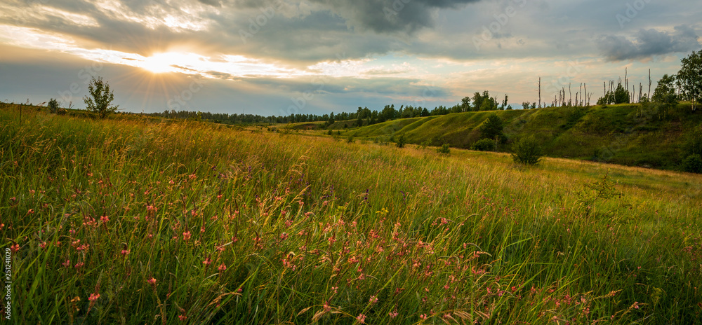 Summer landscape sunset, meadow, strawberry and grass in the light. nature,