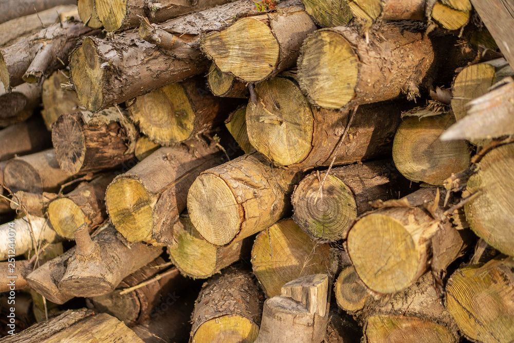 A close up of a pile of chopped wood A close up of a pile of chopped wood