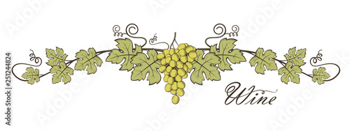 illustration of grape bunches with leaves