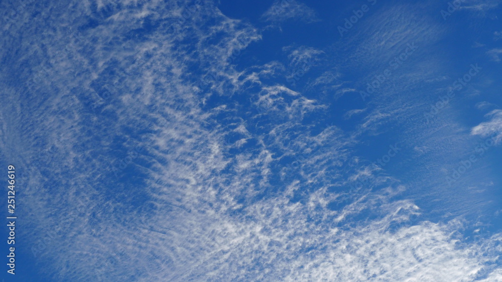 Obraz premium OLYMPUS DIGITAL CAMERA