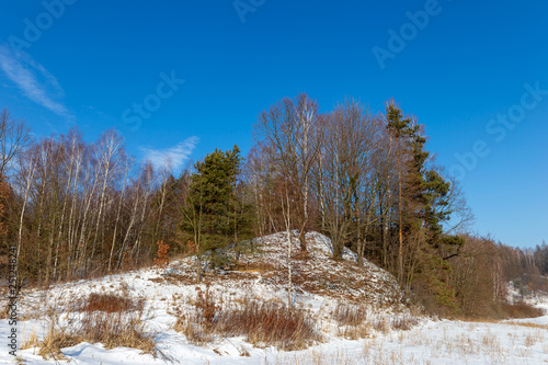 White winter landscape in the forest.