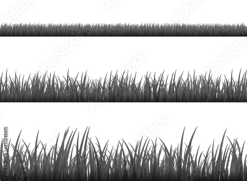 Grass meadow border vector pattern. Spring or summer plant field lawn. Black and white grass background