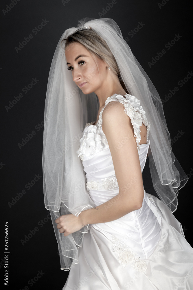 Perfect Fashion Model Woman with Beautiful Hairstyle. Prom or Bride Girl Perfect Fashion Model Woman with Beautiful Hairstyle. Prom or Bride Girl