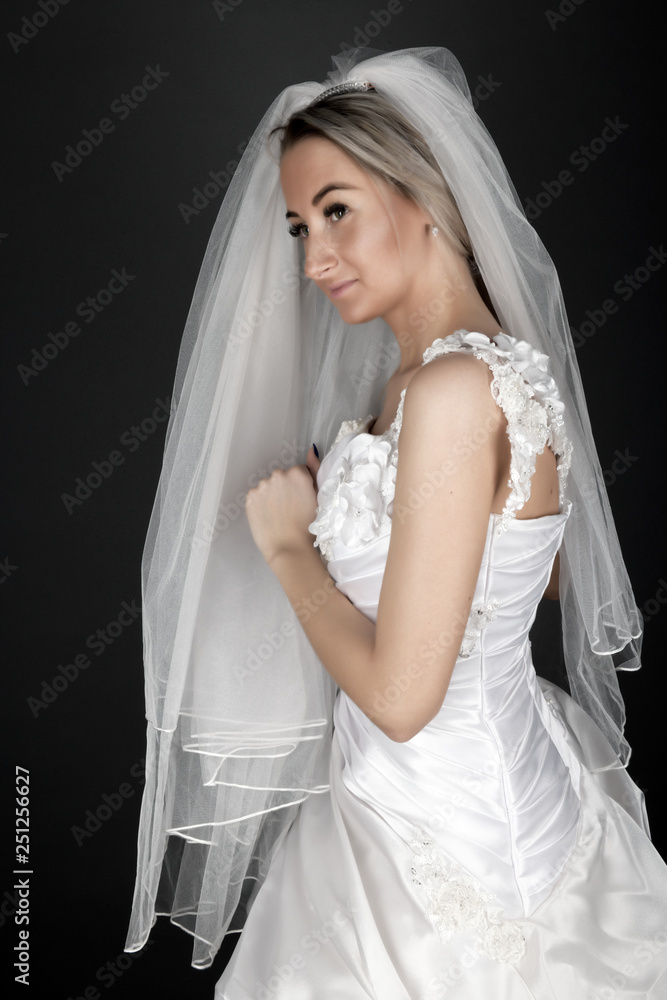 Perfect Fashion Model Woman with Beautiful Hairstyle. Prom or Bride Girl Perfect Fashion Model Woman with Beautiful Hairstyle. Prom or Bride Girl