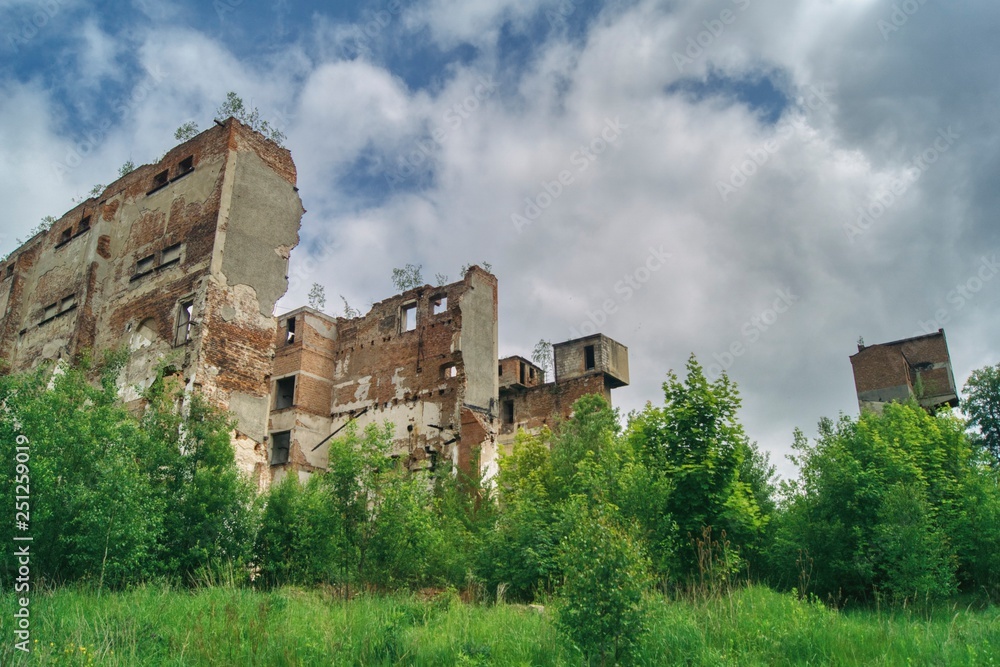 Spring view of the ruins of an old factory overgrown with wild vegetation, a brick building without a roof and ceilings threatening to collapse