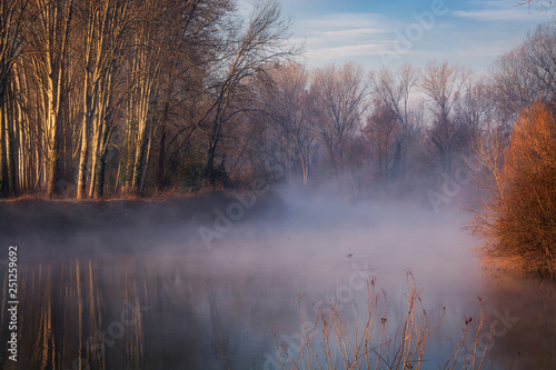 Morning fog at sunrise on the river Sile at Casale sul Sile. Trees on the shores,