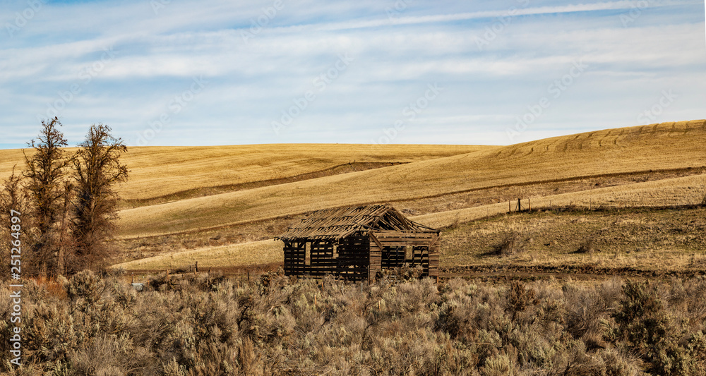 old house in field with rolling hills of golden grass