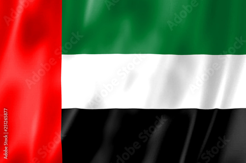 The UAE flag. United Arab Emirates. Dubai Heraldry. Illustration of flag