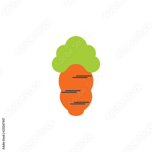 simple carrot colorful design symbol vector