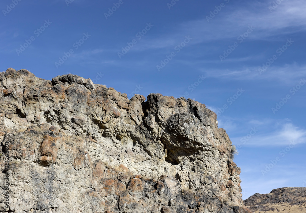 Large birds nest hidden in a rock cliff.