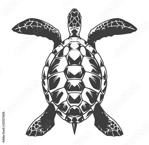 Vintage turtle top view concept