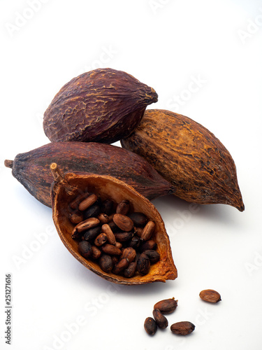 Cocoa pod ,beans and on white background