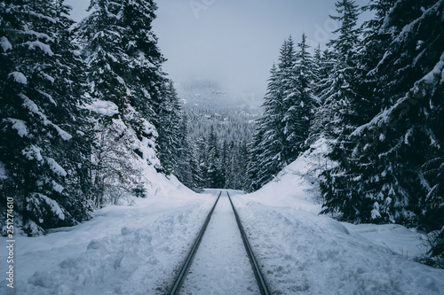 Train tracks into forest through cold winter snow