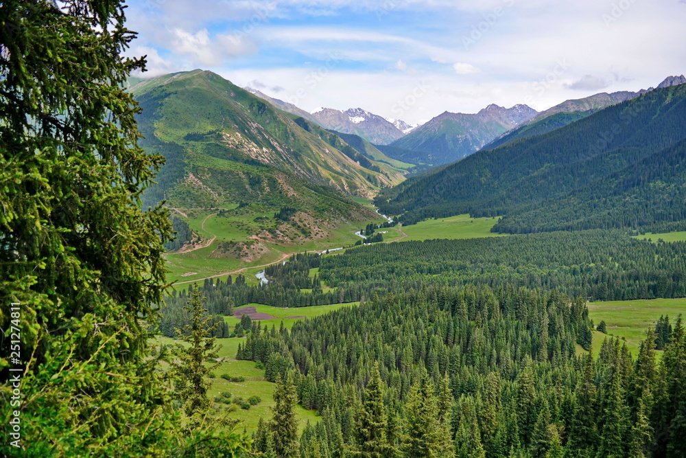 Alpine meadow with green grass between mountains in valley, high hill, coniferous forests. Beautiful view from top Alpine meadow with green grass between mountains in valley, high hill, coniferous forests. Beautiful view from top