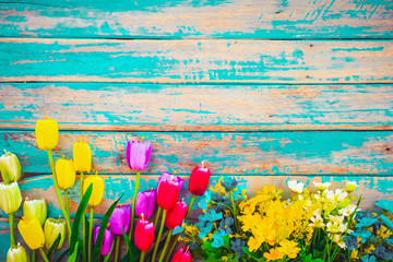 Tulip blossom flowers on vintage wooden background, border  frame design. vintage color tone - concept flower of spring or summer background