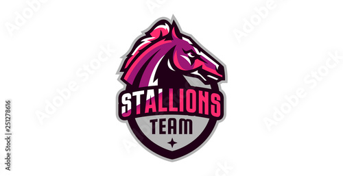 Horse logo. Sports logos of horses, racing stallions. Shield, text, mascot, head of a stallion. Vector illustration