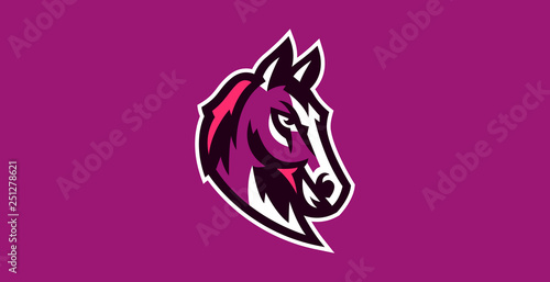 Horse logo. Sports logos of horses  racing stallions. Shield  text  mascot  head of a stallion. Vector illustration