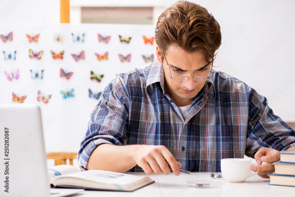 Student entomologist studying new species of butterflies Student entomologist studying new species of butterflies