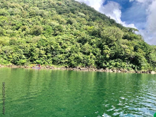 lake in deep forest