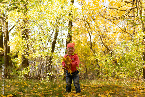 Child in the park on the background of autumn foliage © Andrey_Chuzhinov