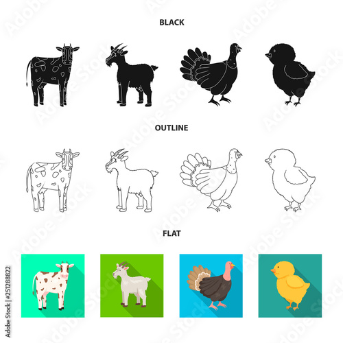 Vector illustration of breeding and kitchen sign. Set of breeding and organic vector icon for stock.
