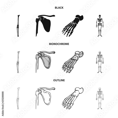 Isolated object of medicine and clinic sign. Set of medicine and medical vector icon for stock.