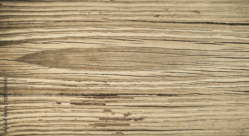 Fototapeta premium Old wood texture background, perfect natural pattern.