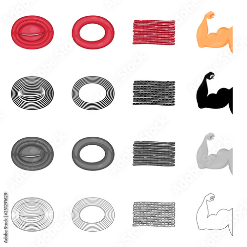 Vector design of fiber and muscular logo. Set of fiber and body  vector icon for stock.