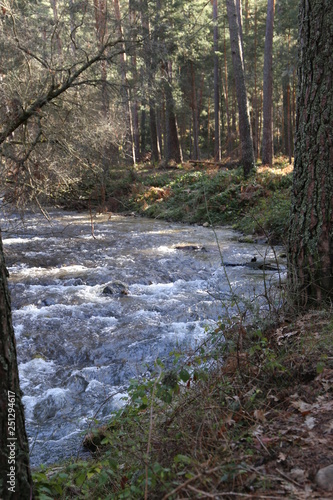 Río Eresma - La Granja de San Ildelfonso photo