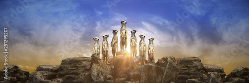 Slika na platnu meerkat at sunset. 3d rendering
