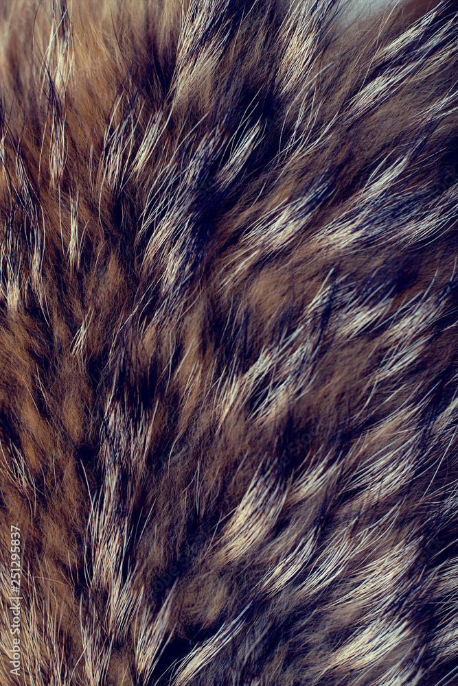 Texture of fur - fox - high resolution. Natural animal fur texture as background. Texture of fur - fox - high resolution. Natural animal fur texture as background.
