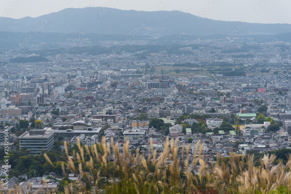Landscape view of Nara, Japan 