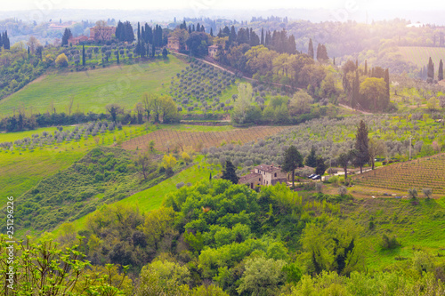 Typical Tuscan landscape