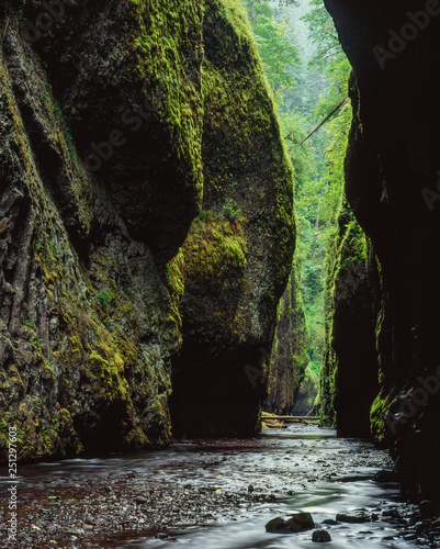 Fotografija Oneonta Gorge. Columbia River Gorge, Oregon