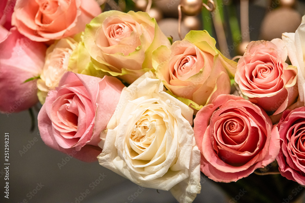 rose flowers for calendar and postcard rose flowers for calendar and postcard