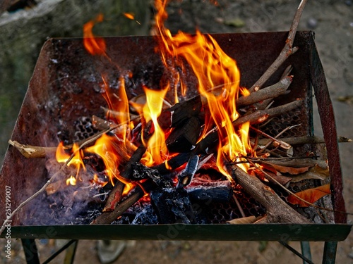 concept of wood heating, Flaming Barbeque