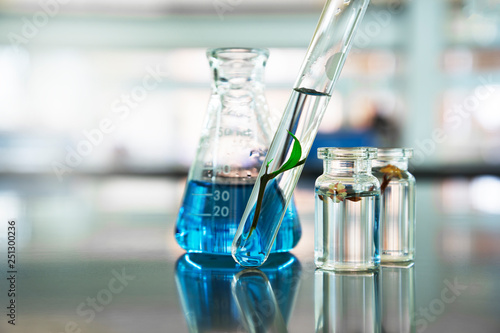green leave plant in glass test tube and flower in vial with blue liquid solution in flask at biotechnology science laboratory background