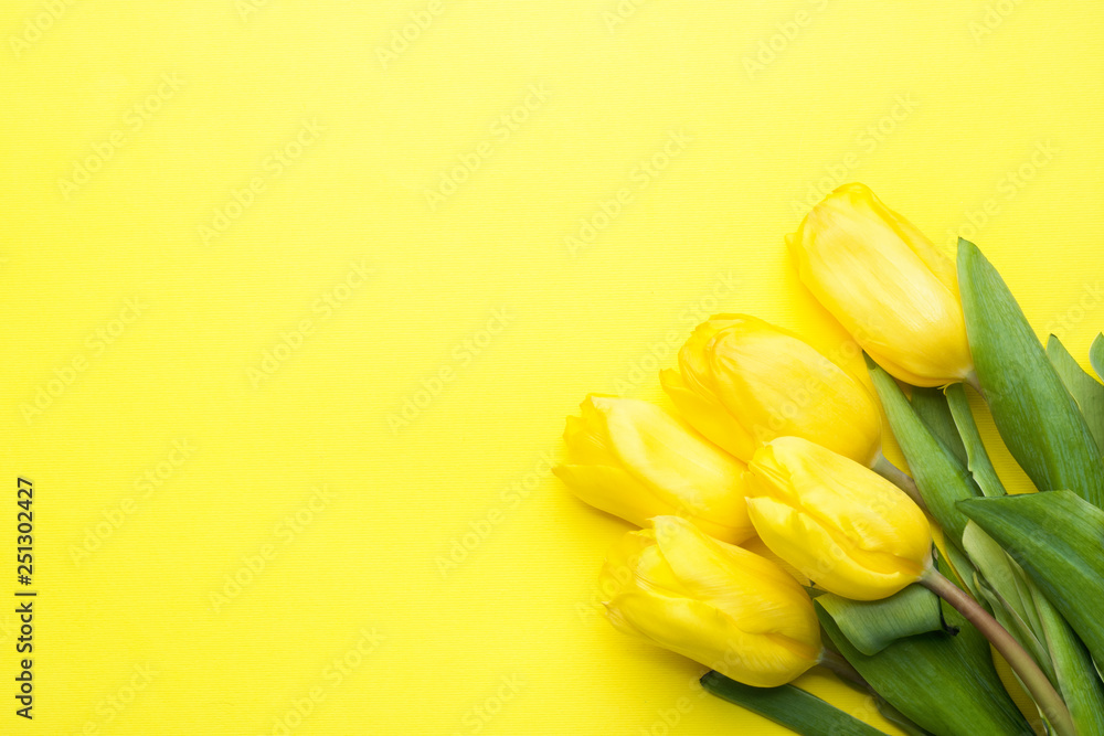 Bouquet of yellow tulips on a yellow background Copy space Bouquet of yellow tulips on a yellow background Copy space