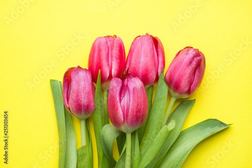 Fototapeta Naklejka Na Ścianę i Meble -  Bouquet of bright purple tulips on yellow background Copy space
