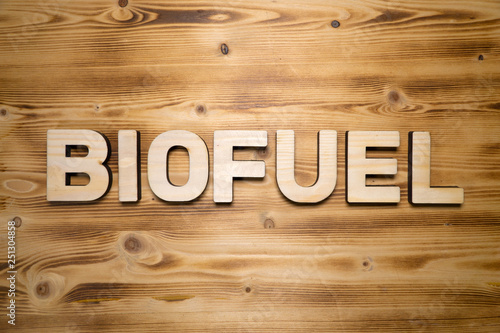 BIOFUEL word made with building blocks on wooden board.