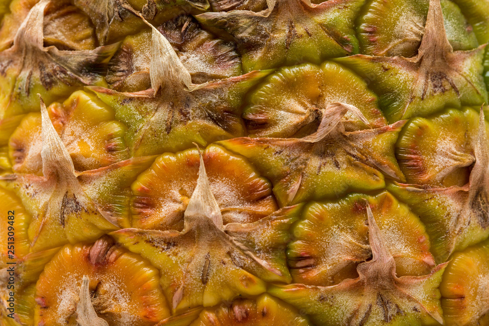 Super close up of a pineapple showing the texture of the skin Super close up of a pineapple showing the texture of the skin