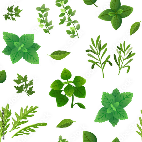 Spice seamless pattern. Food herbs and spices oregano green basil mint spinach coriander parsley dill and thyme. Vector endless texture spice for cooking, ingredient herbal and basil illustration