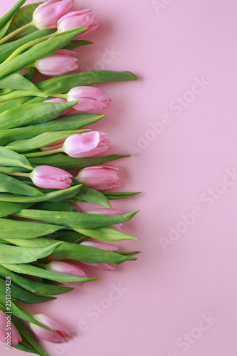 Beautiful tulips on color background